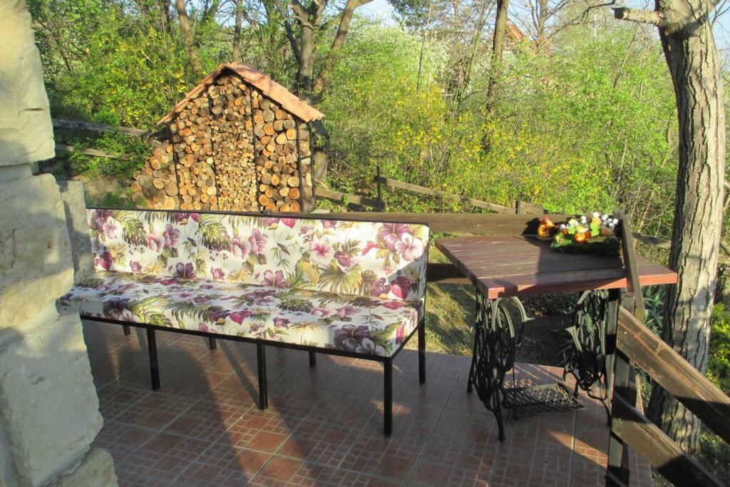 Villa Kornelija Stari Slankamen Экстерьер фото
