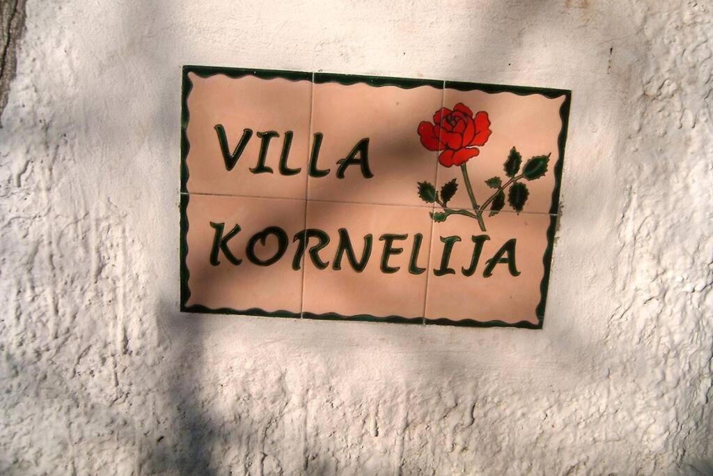 Villa Kornelija Stari Slankamen Экстерьер фото